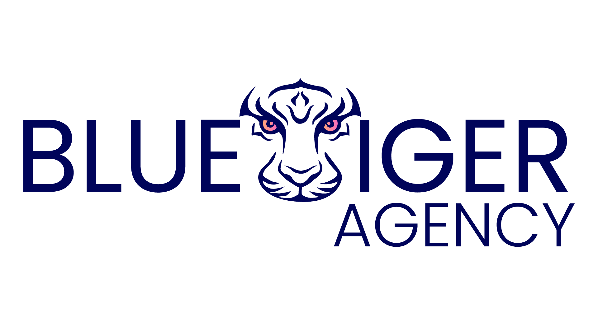 Bluetiger Agency – Agence Marketing Digital