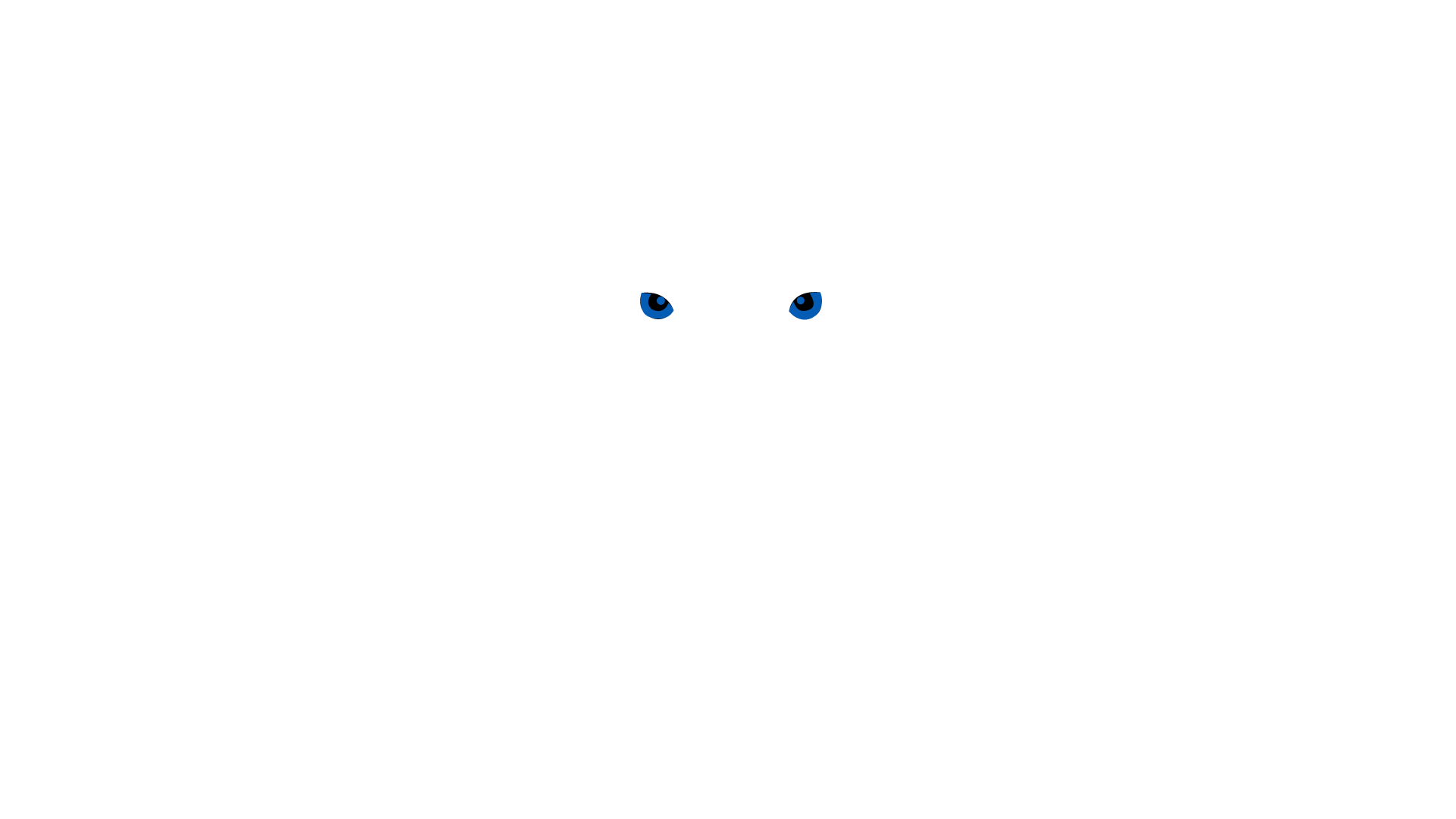 Bluetiger Agency – Agence Marketing Digital
